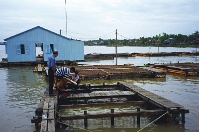 partenaire PISCICULTURE  DE TILAPIA AU TOGO