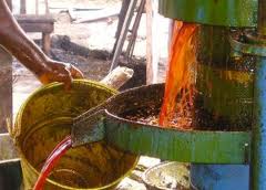 vente Huile de palme brute (huile rouge) BENIN