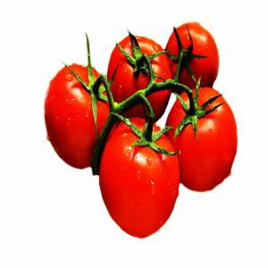 vente  Produits Agroalimentaires d�origine Tunisien