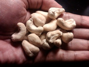 vente vente de cajou et produits tropicaux