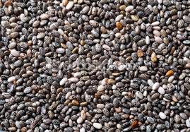 partenaire Distributeurs de graines de Chia
