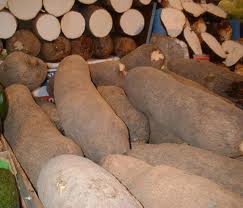 vente offre igname en gros d'afrique