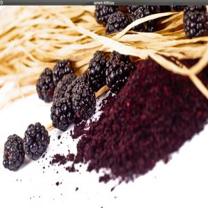 vente Poudres naturelles de Fruits 100% naturelles