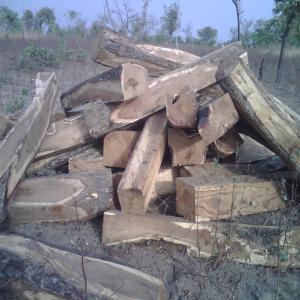 vente bois et les produits forestier