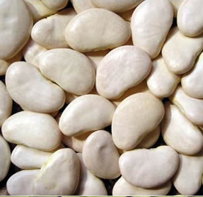 vente VENTE HARICOTS - PEROU