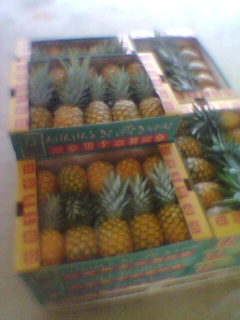 vente Exportation d'Ananas 