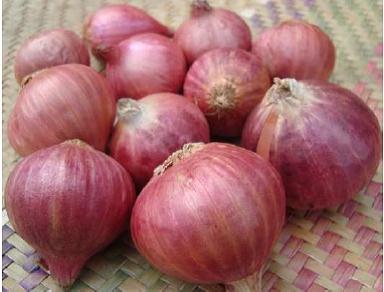 vente oignon d'Anosy (Madagascar)
