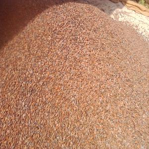 partenaire cacao en destockage