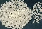 vente basmatic rice