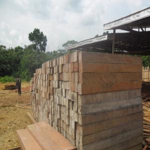 vente Sciage Bois export Bubinga, Doussi�, disponible