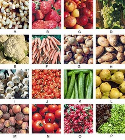  recherche partenaire Vends Agrumes du Maroc et l�gumes 