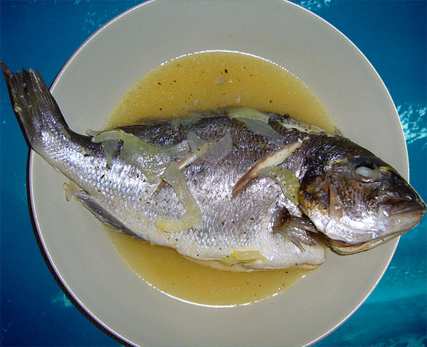 vente Vente de poissons