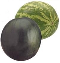 vente Vente past�ques, melons origine Murcia