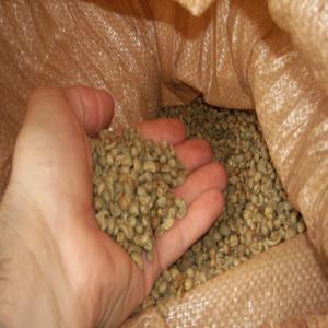 vente Caf� Vert Arabica/Robusta Br�sil 