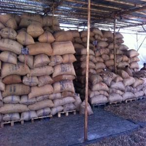 vente Cajou B�nin Export