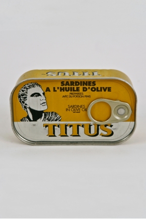 vente vends  les conserves de sardines 125g 