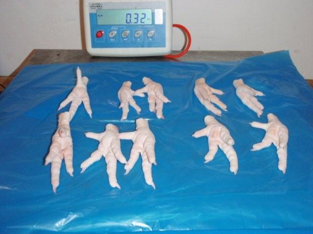 vente pattes de poulet grade A 