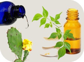 vente Mati�res premi�res aromatiques 