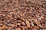 vente CACAO,CAFE ET THE