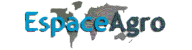 we can supply on a regular basis NATURAL FRENCH SPRING WATER of high quality by full 20' container.
  loading : 2160 pack of 6x1,5l  or about 6000 pack of 0,5l   
   size:  0,5L - 1,5L   .
                                                        
if you need a  PRICE ,please contact us  mineral water - boissons non alcolis�e