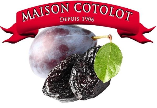 logo societe SARL COTOLOT