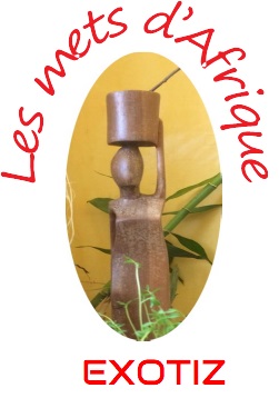 logo societe EXOTIZ SAS