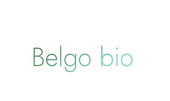 logo societe BELGO INVEST