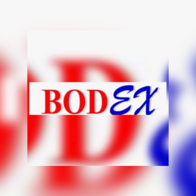 logo societe BODEX HOLDING B V