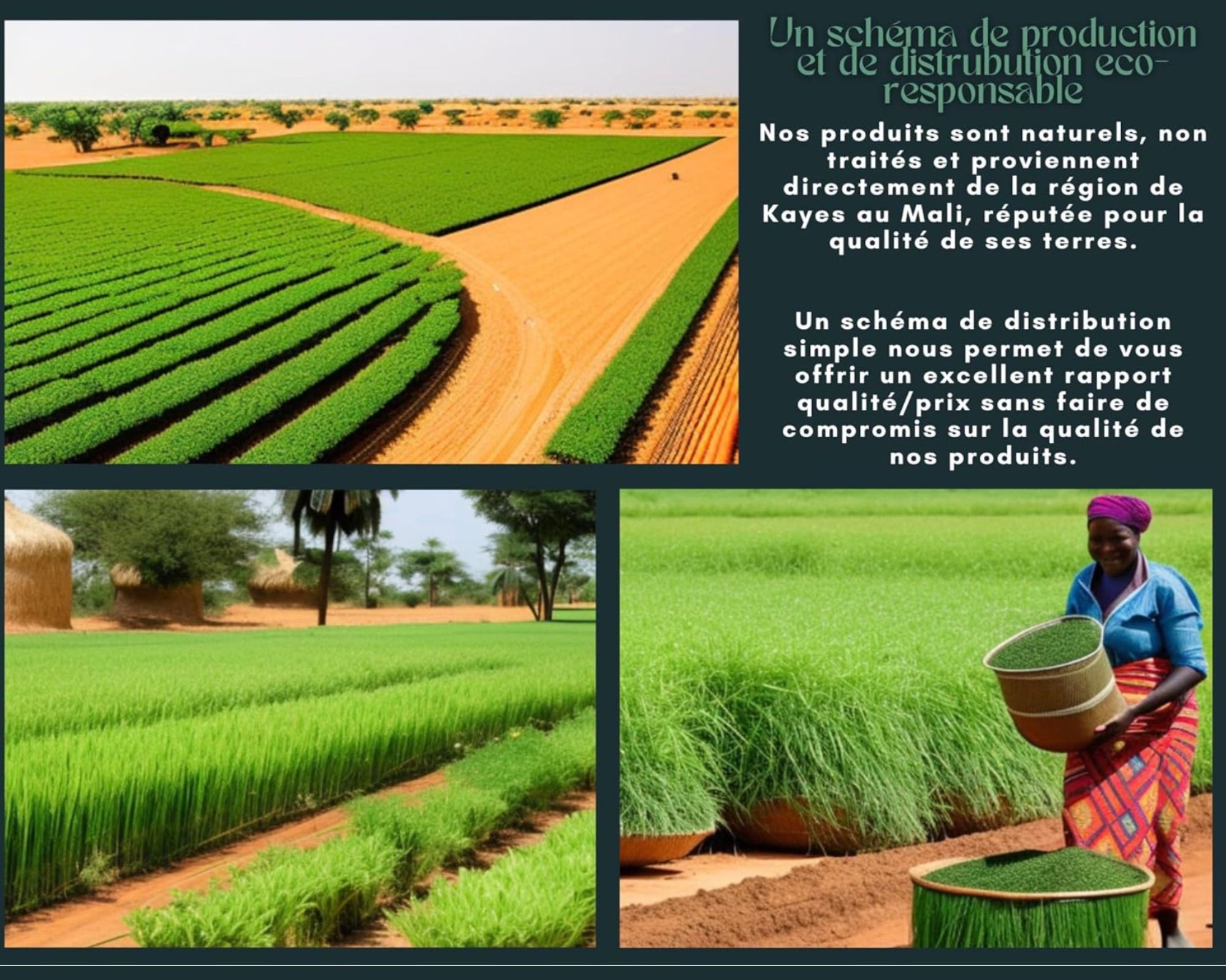 image 2 LUBA GLOBAL SERVICES