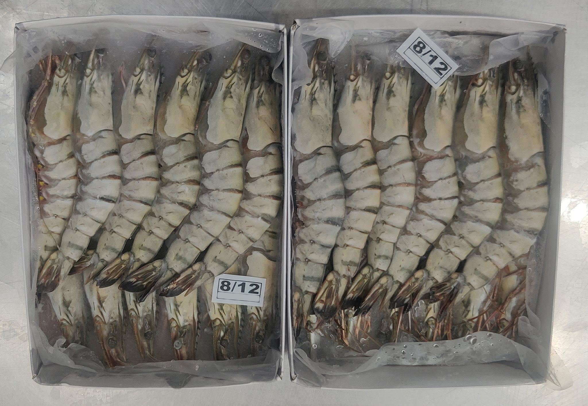 image 2 ATLANTIC MAGHREB SEAFOOD