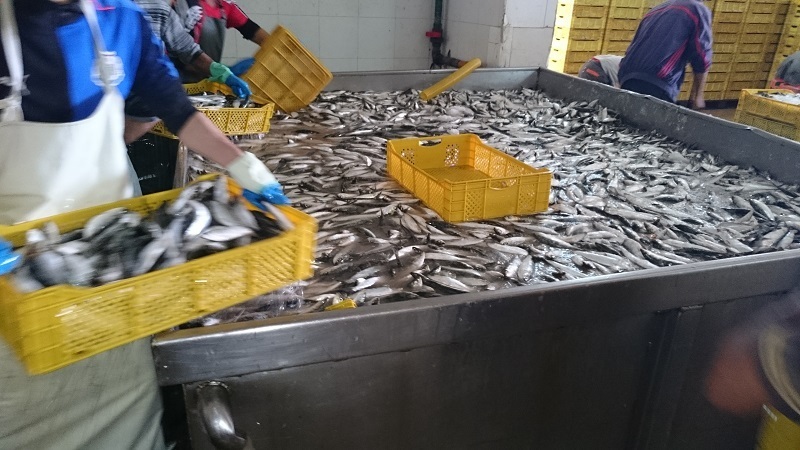 image 3 ATLANTIC MAGHREB SEAFOOD