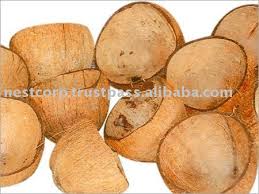 Achat Noix De Coco Vide