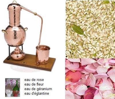 Eau De Rose Et Eau De Fleur Doranger Tout Le Monde