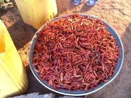 Vente De Piment Bec D Oiseaux Pm 16 En Qutite Aucune