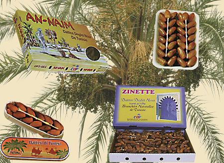  Dattes De Tunisie - fruits secs et graines grillées soci&eacute;t&eacute; tunisienne l'un des leaders dans le conditionnement et l'exportation des dattes tunisiennes depuis plus de 50 ans.