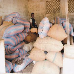  Achats De Karité - Industrie exploitation salut je suis en accord parfaite avec les producteurs de karité dans ma région et j'achète dans les villages environnants;cette année je recherche un partenaire sérieux pour m'accompagner dans la réussite de ce commerce ;je le ferai déplacer sur le te