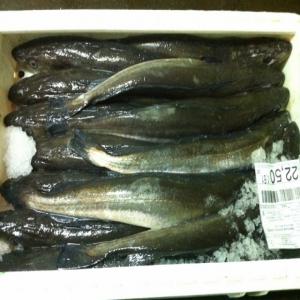  Merlu De Galice - poissons bonjour--nous sommes une entreprise situé en galice(espagne).--nous travaillon directement avec patron de bateaux.--nous cherchons de nouveaux client en europe.--nous avons tous sorte de poisson,  le plus et la merlu (merluza),  le prix est de 7000€la tonne inclus le transport dans l'europe.--