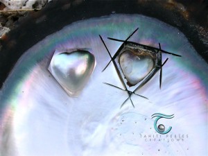  Perle Et Mabe Perle De Nacre De Tahiti - pierre roche perle de tahiti naturelle de toute taille et de toute forme ( ronde,  cercle,  keishi etc....)----mabe (perle de la nacre ) et nacre de tahiti,  ----de toute la polynesie française --------