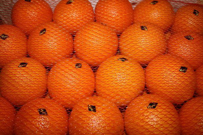  Fruits, Agrumes, Primeurs Et Légumes Du Maroc - fruits et légumes pommes de terres,  oignons,  carottes,  oranges,  clémentines,  tomates,  poivrons, courgettes,  piments forts,  tous les fruits et légumes d'origine marocaines