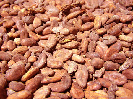  Café-cacao-oléagineux - café cacao thé nous somme une soci&eacute;t&eacute; au togo. nous disposons les produits biologiques qui sont- caf&eacute; robusta ,  cacao qualit&eacute; sup&eacute;rieure,  soja,  arachide; karit&eacute;,  ainsi que des tourteaux comme tourteaux de soja,  de palmiste,  de coton et huile bruite. nous livrons au prix fo
