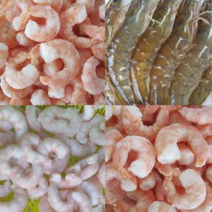  Vente De Crevettes De Haute Qualité - coquillage crustacé fourniture des crevettes de haute qualité；--emballage et classement selon les besoins de marché des clients;--congélation; en conteneur；--valide à long terme. --prix à consulter.--