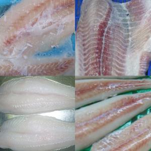  Darnes - poissons fourniture des darnes de haute qualité；--emballage et classement selon les besoins de marché des clients;--congélation; en conteneur；--valide à long terme. --prix à consulter.--