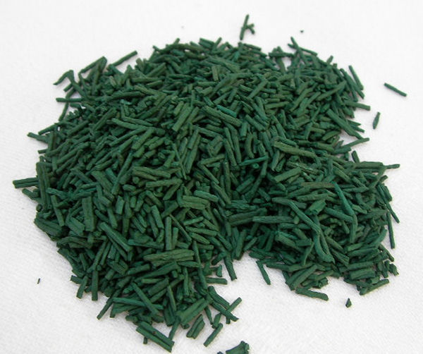  Projet De Spiruline - matiere vegetale on cherche un partenariat qui veux faire le projet de cultivation de la spiruline dans le sud du maroc c'est un projet très rentable