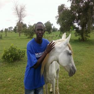  Thies Élevage - animaux vivants je suis un jeune sénégalais ayant un projet d élevage dans notre pays .étant donné un manque de moyen , je sollicite une aide a ce sens.je voudrais participé au développement de l élevage au sénégal.je veut étre en partenari