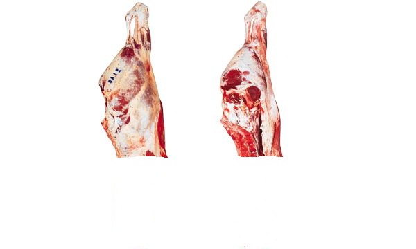  Viande Boeuf De Patagonie Argentine - viandes et oeufs  	viande de patagonie--  	viande d argentine origine de patagonie ,  élevage a l air libre ,  produit d excellente qualité relation direct avec l abattoir ,  nous parlons français ,  espagnol et anglais abattage hallal et normale--- frais,  sous vide ,  congelé--- a determiner-
