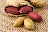  Noix De Cajou Et Arachide - fruits secs et graines grillées  	noix de cajou et arachide-- 	noix de cajou produit - noix de cajou origine - bénin qualité - non décortiqué,  outurn 45 à 48 lbs max kor quantité - 50 tonnes spot conditionnement - en papier aluminum/ carton de 50 kg prix - usd 1400 / mt fob; -- produit-ara
