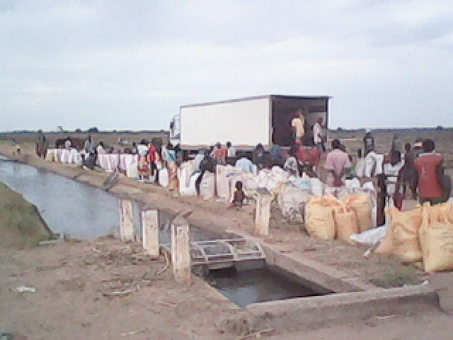  Partenariat En Éxport Depuis Madagascar - fruits secs et graines grillées collecteur malgache cherche un partenariat financier  pour créer une société de collecte,  de transport et export  de droit malgache.--le but c’est de créer une société sarl.,  ayant comme objet - achat et collecte de produits locaux,  préparation et tra