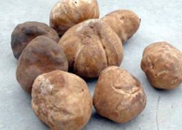  Truffles Algerie - fruits et légumes truffes blanc et rouge de bonne qualité de l’algérie--c du terfasse.--contacter mois c vous etre intéresser.  le prix est 25eur le kg. -- 