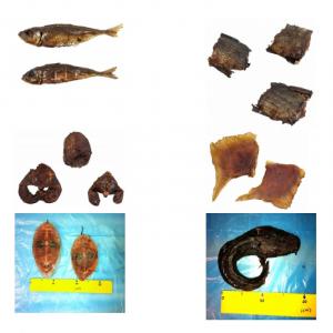  Poissons Fumés En Europe - poissons nous vendons -----darnes de capitaine fumées--darnes de machoiron fumées--chinchard fumé--poisson-chat courbé fumé (silure)--ailes de raie fumées--