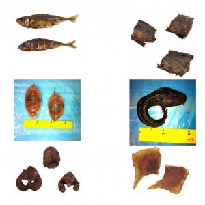  Poissons Fumés En Europe - poissons vendons des poissons fumes en europe dans de bonnes conditions d'hygiene ----1. darnes de capitaine fumées--2. tilapia fumé--3. chinchard fumé--4. darnes de machoiron fumées--5. poisson-chat courbé fumé (silure)--6. thon fumé--7. ailes de raie fum&eac